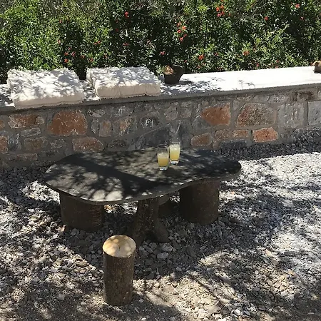 Daire Panai's Garden *