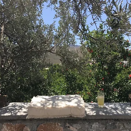 Daire Panai's Garden Livadi (Astypalaia)