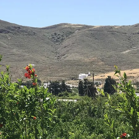 Panai's Garden Daire Livadi (Astypalaia)
